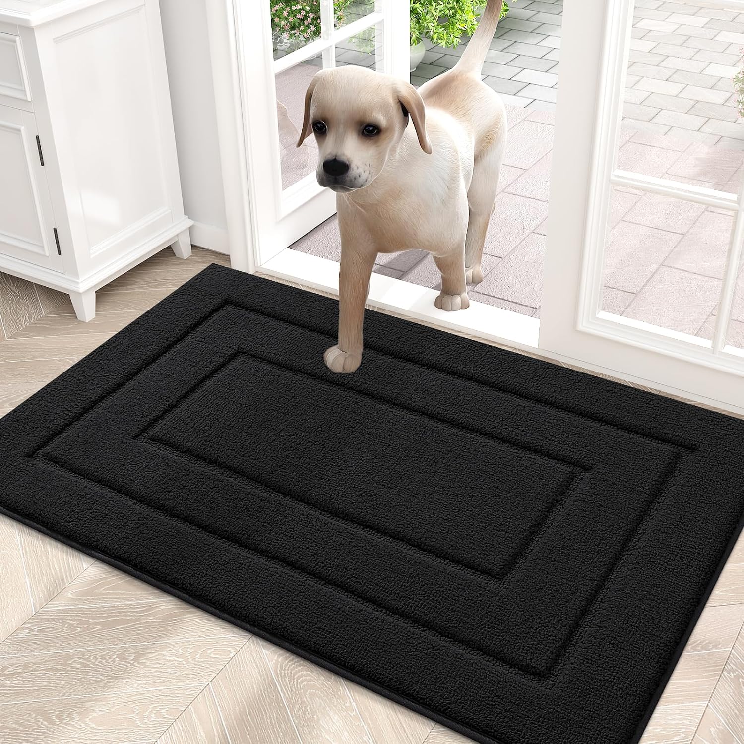 Black Low-Profile Door Mat 30x20 Inches I4966