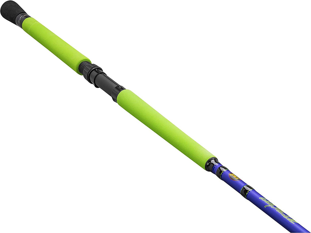 Spinning Rod C188259