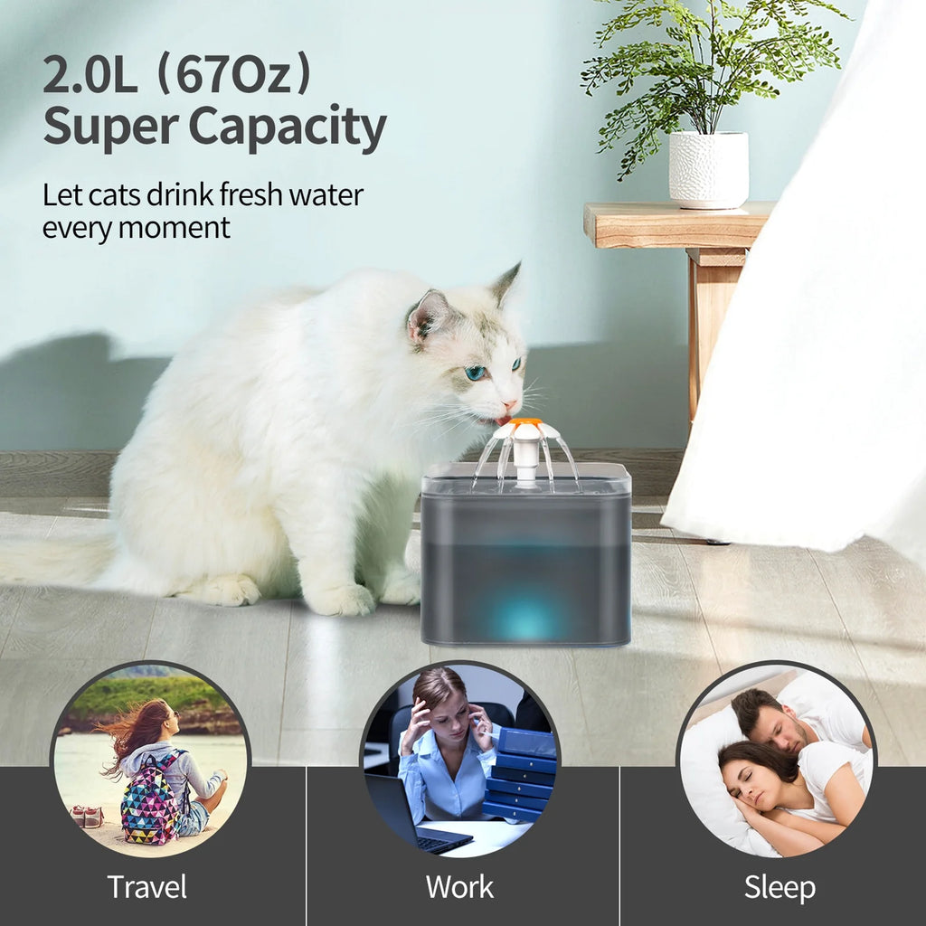 Black 2L Pet Water Fountain with Replacement Filters Q6734
