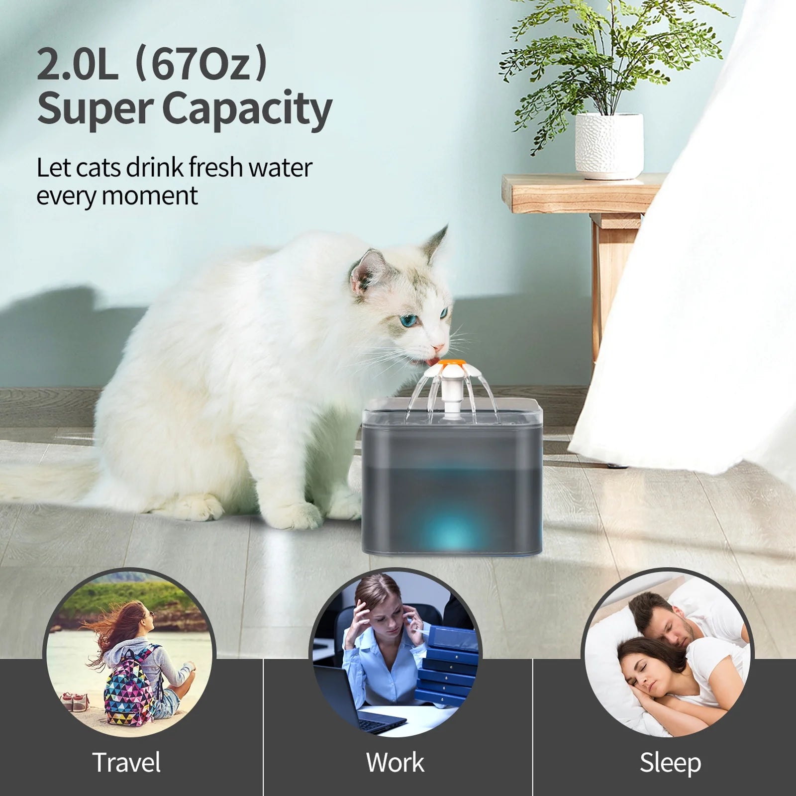 Black 2L Pet Water Fountain with Replacement Filters Q6734