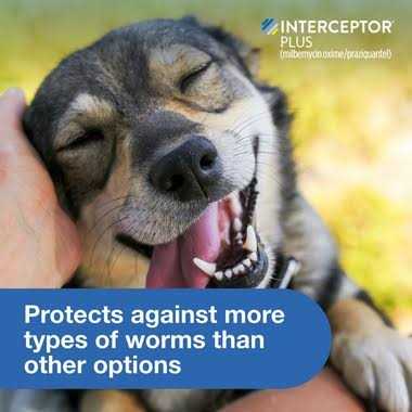 Interceptor Plus for Dogs I697