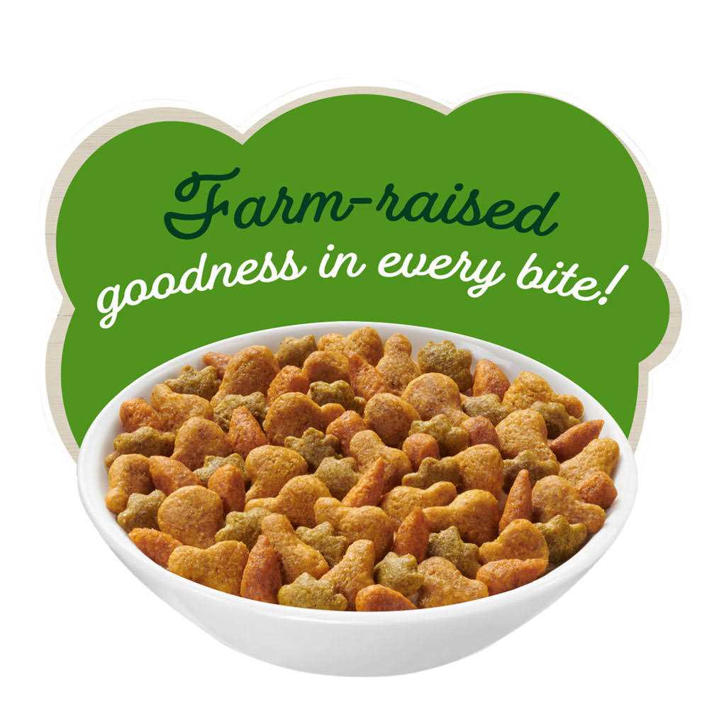 Dry Cat Food with Chicken B593160