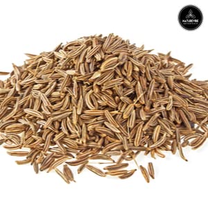 Garlic Ground Powder, 5lbs X212