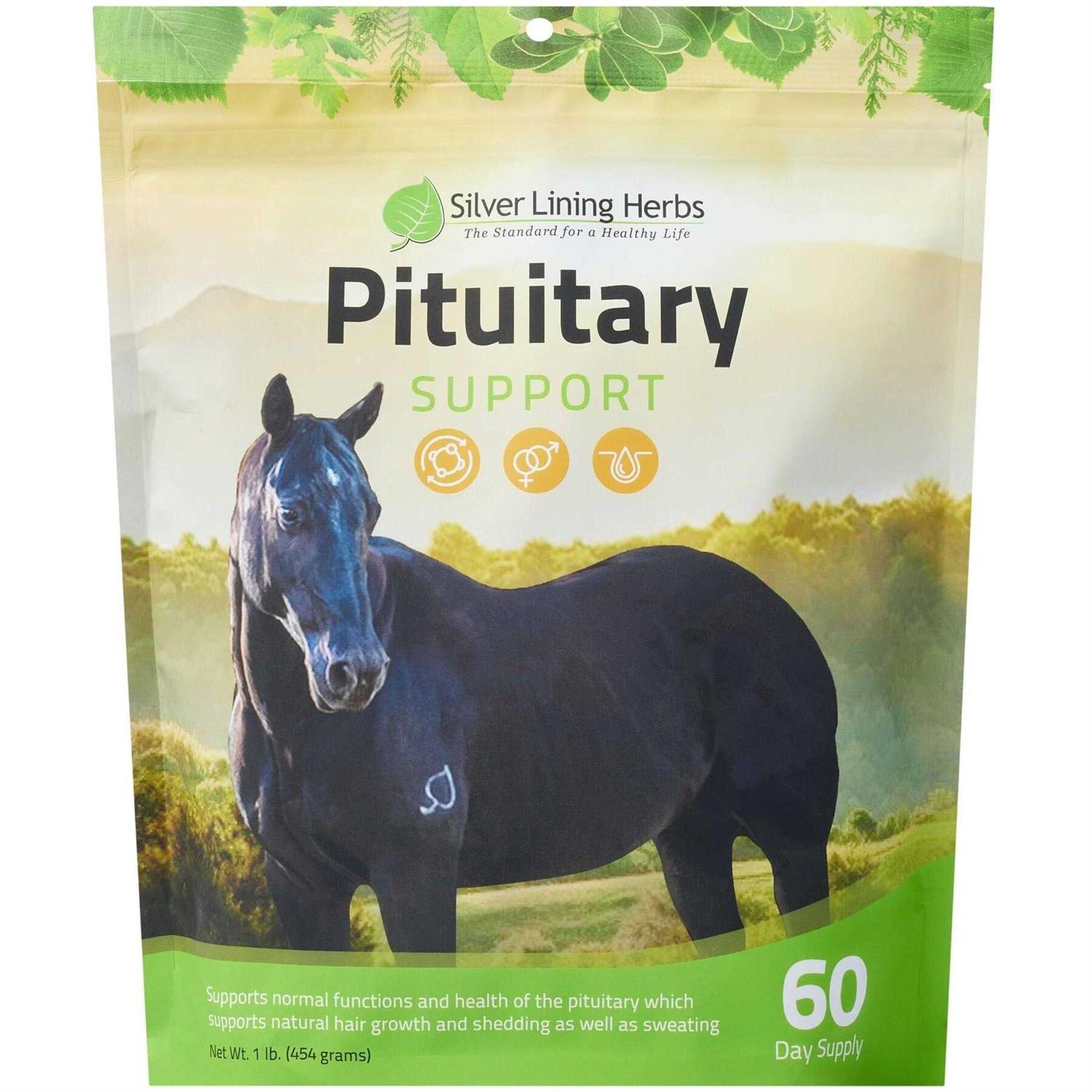 28 Pituitary Support E90452
