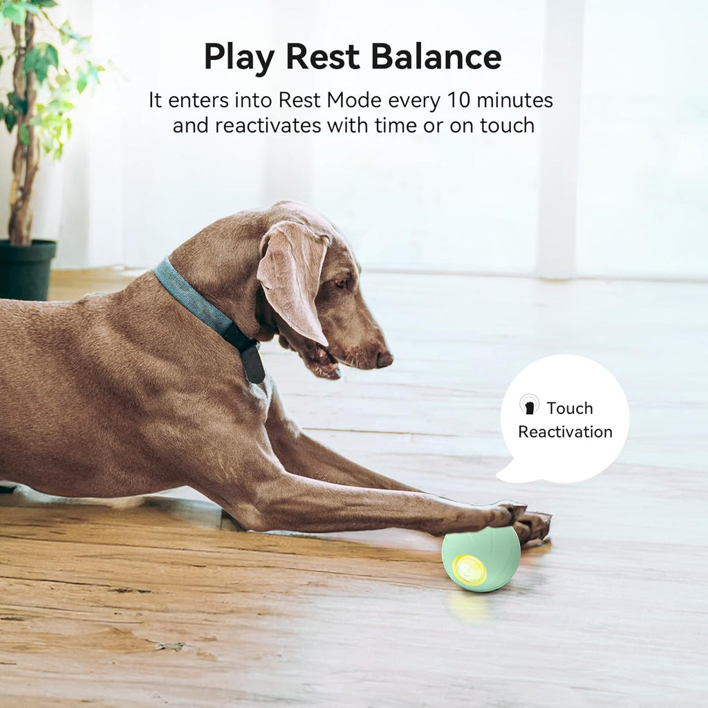 Smart Interactive Dog Toy, Automatic Moving Bouncing Rotating Ball with Lights Q394214
