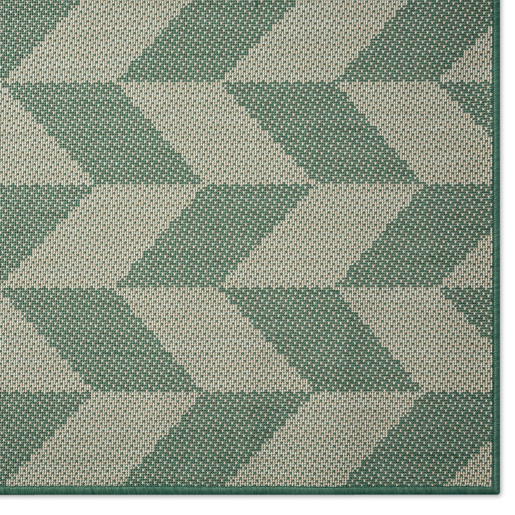 Beige/Green 5'2"x7'2" Indoor/Outdoor Area Rug C59919