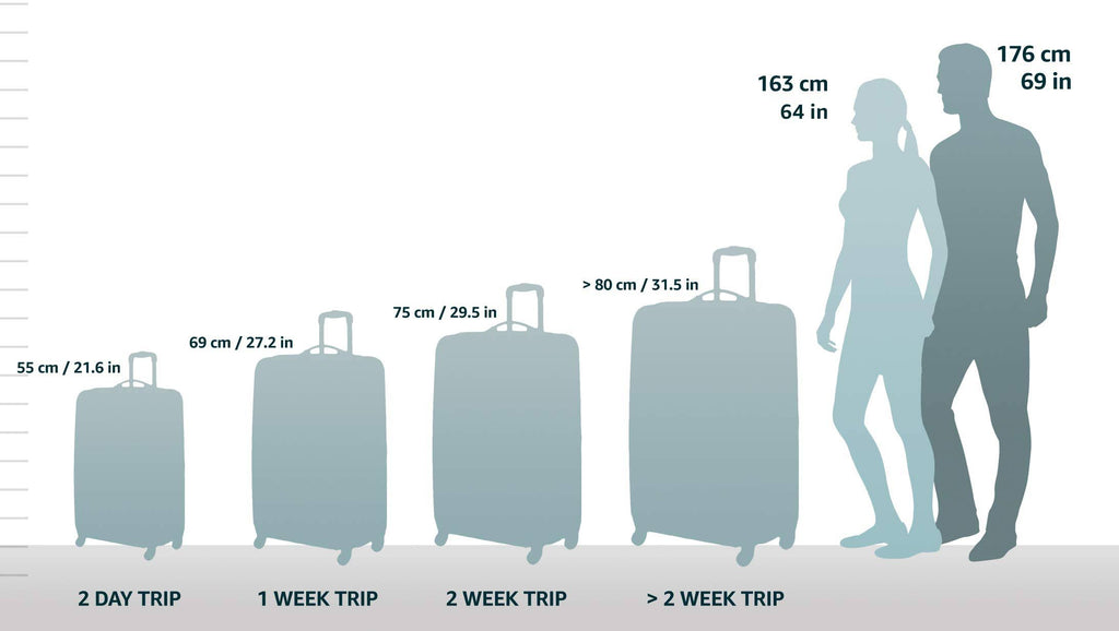 Spinner Hardside Upright Suitcase P45870