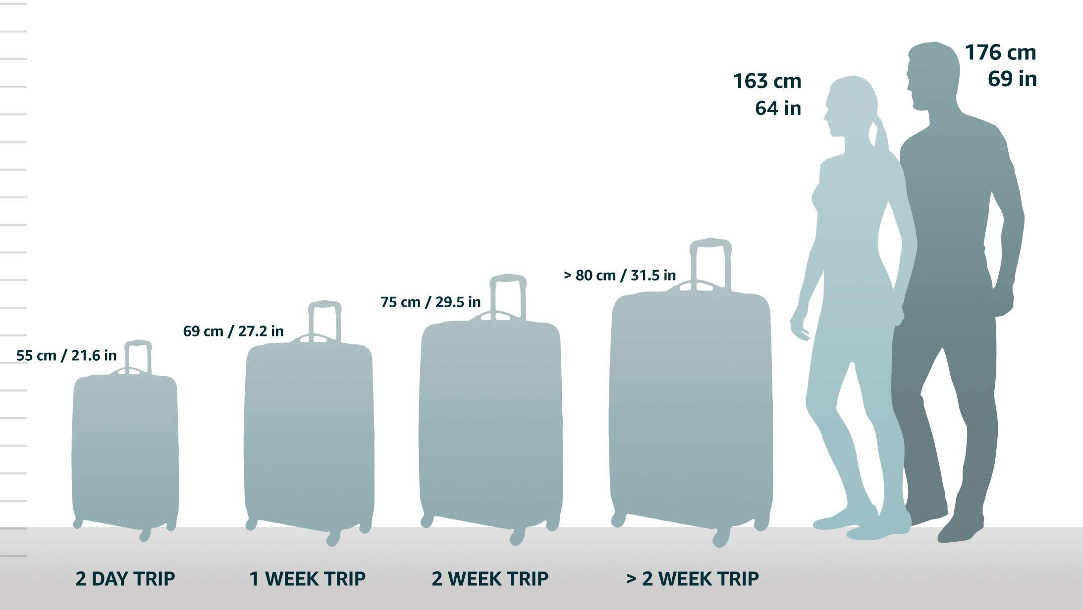Spinner Hardside Upright Suitcase P45870