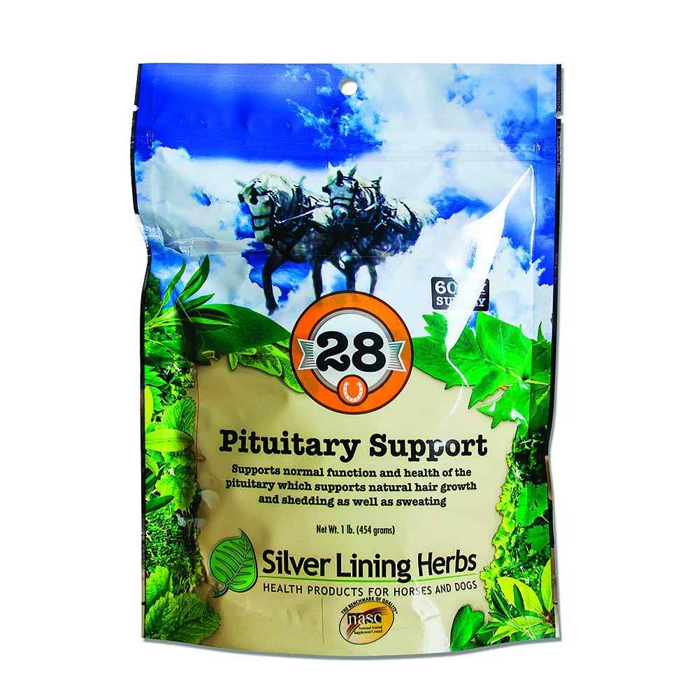 28 Pituitary Support E90452
