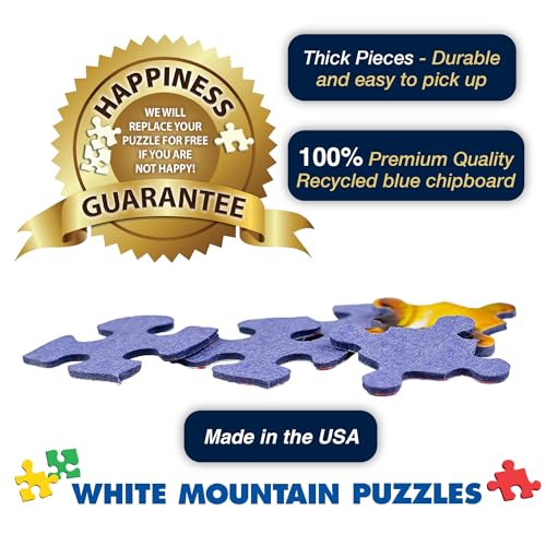 1000 Piece Jigsaw Puzzle 24"x30" Large Pieces T36179