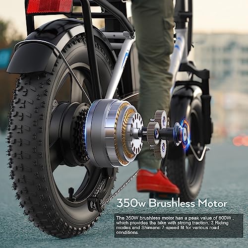 16" x 3.0 Fat Tire Step Thru Electric Bicycle with 48V Removable Battery L1468