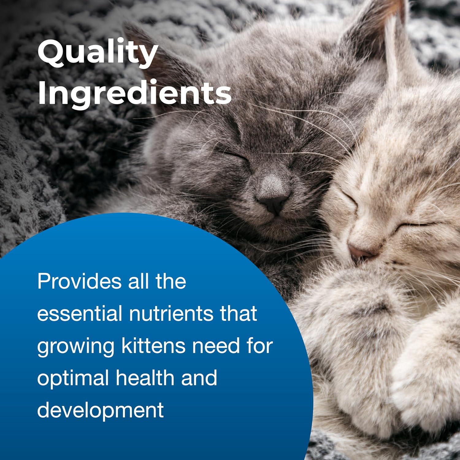 11 oz Ready-to-Feed Kitten Milk Replacer Liquid S273925