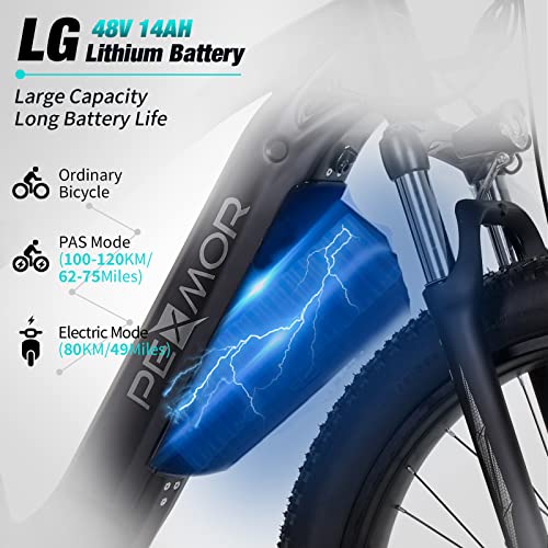750W 48V 14AH Removable Battery 26" Fat Tire Electric Bike N24994