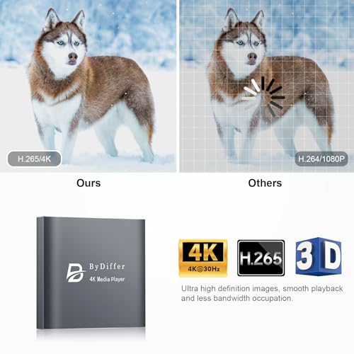 4K Ultra HD Digital Media Player with HDMI Output F288