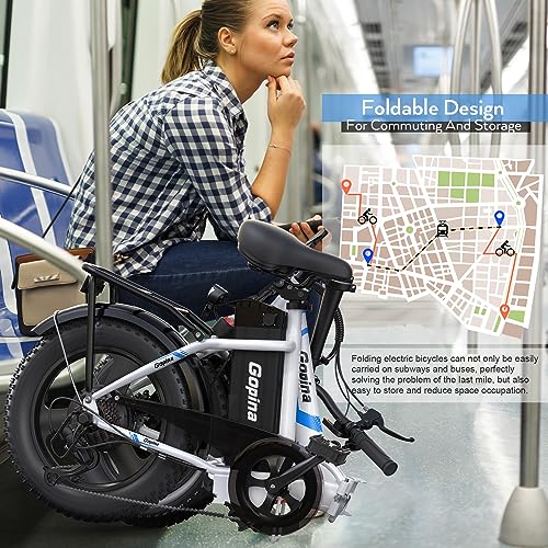 16" x 3.0 Fat Tire Step Thru Electric Bicycle with 48V Removable Battery L1468