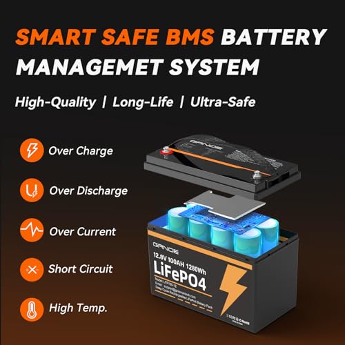12V 100Ah LiFePO4 Battery Group 31 With Built-in 100A BMS B70742