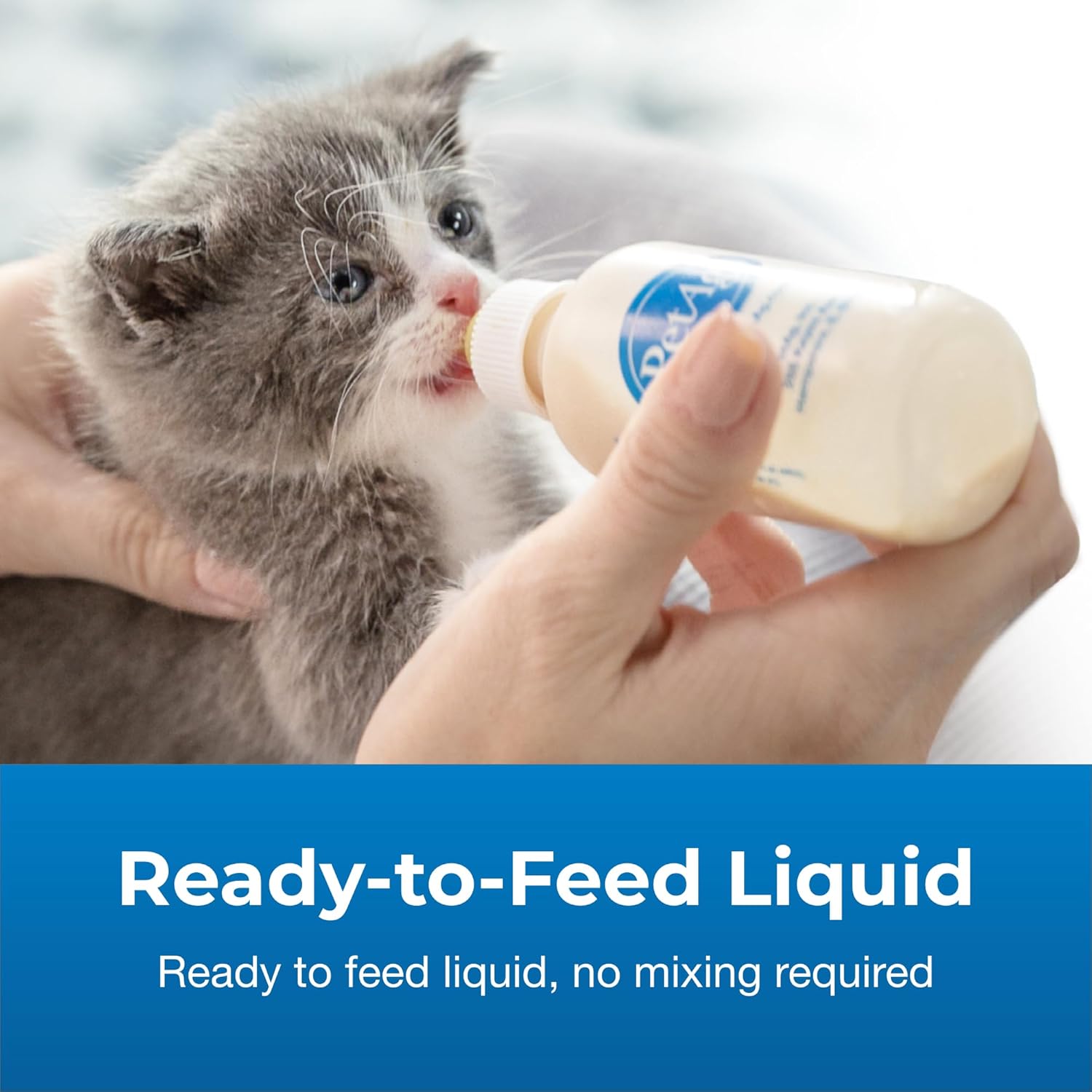 11 oz Ready-to-Feed Kitten Milk Replacer Liquid S273925