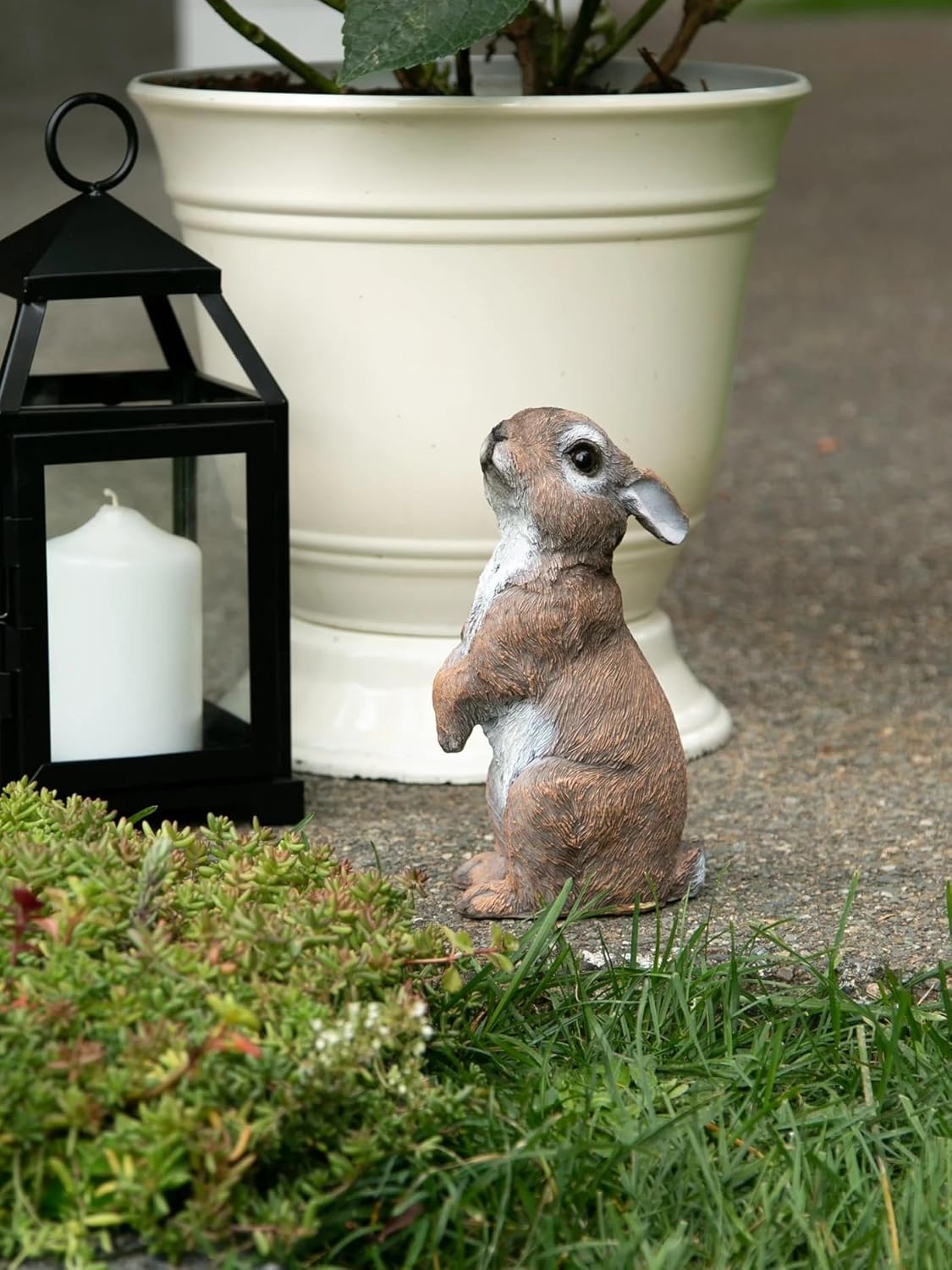 Standing Bunny Statue, Multicolor Y511