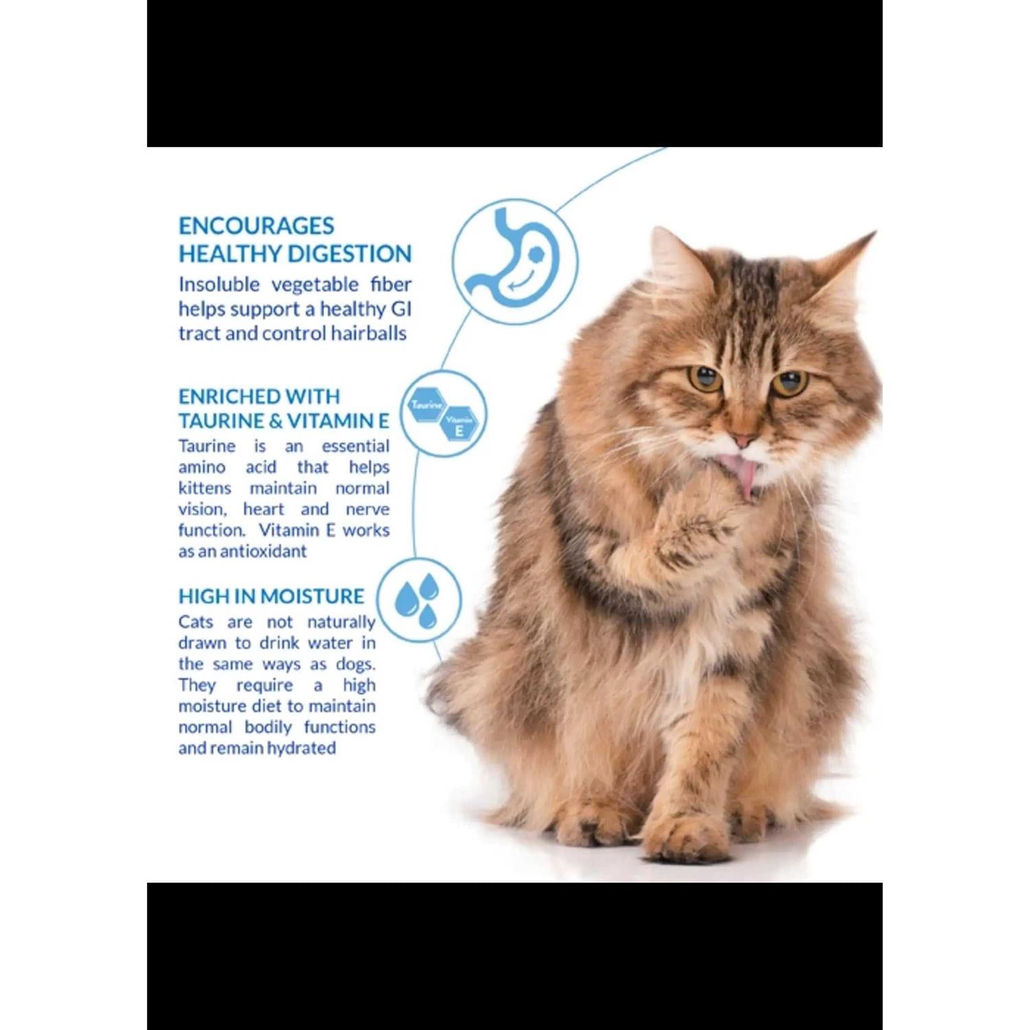 Chicken Cat Treat D560